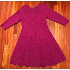 The Limited women knit flair bottom dress in a size large. It’s a plum color.